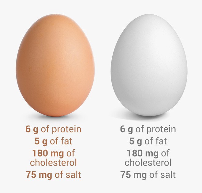 8 điều hiểu lầm khiến nhiều người tưởng trứng không tốt mà kiêng không dám ăn - Ảnh 3.