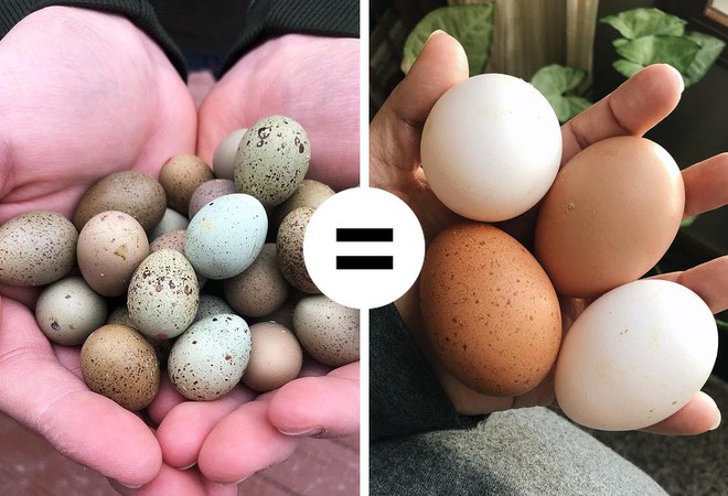 8 điều hiểu lầm khiến nhiều người tưởng trứng không tốt mà kiêng không dám ăn - Ảnh 7.