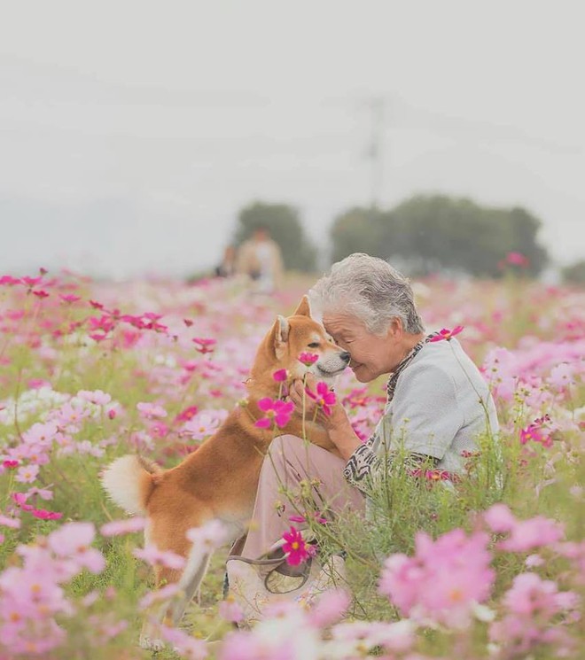 Bộ ảnh đầy cảm xúc của cụ bà Nhật Bản và chú cún con: Khi về già, chỉ cần một người đồng hành đáng yêu thế này thôi! - Ảnh 1.