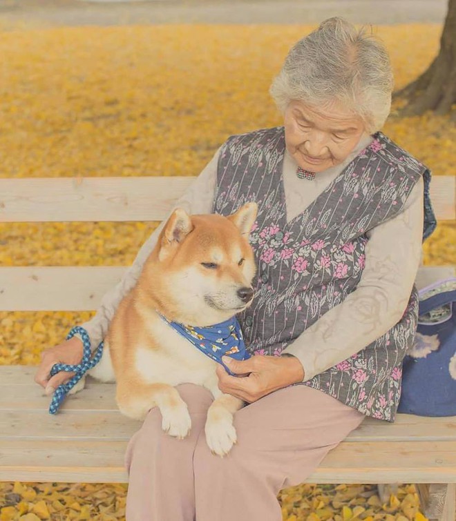 Bộ ảnh đầy cảm xúc của cụ bà Nhật Bản và chú cún con: Khi về già, chỉ cần một người đồng hành đáng yêu thế này thôi! - Ảnh 2.