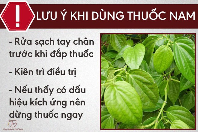 Cách trị viêm da cơ địa dị ứng hay gặp ở người lớn - Ảnh 3.