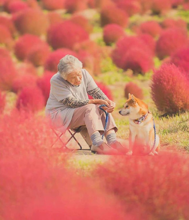 Bộ ảnh đầy cảm xúc của cụ bà Nhật Bản và chú cún con: Khi về già, chỉ cần một người đồng hành đáng yêu thế này thôi! - Ảnh 3.