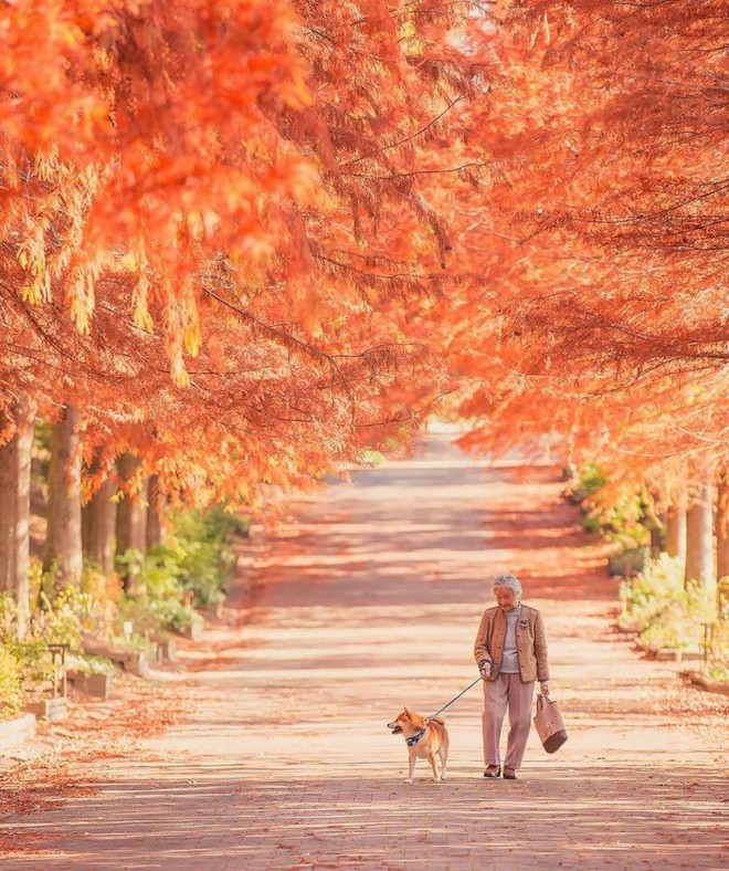 Bộ ảnh đầy cảm xúc của cụ bà Nhật Bản và chú cún con: Khi về già, chỉ cần một người đồng hành đáng yêu thế này thôi! - Ảnh 6.