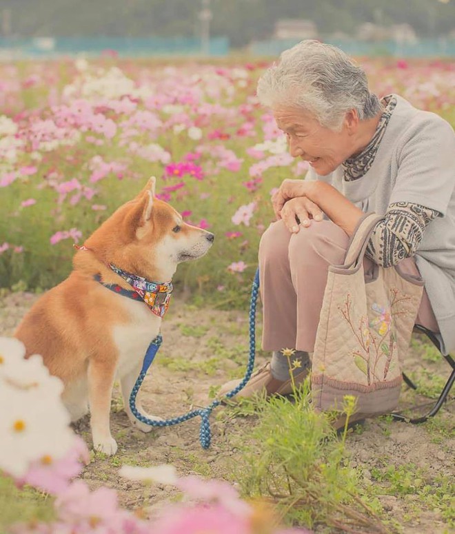 Bộ ảnh đầy cảm xúc của cụ bà Nhật Bản và chú cún con: Khi về già, chỉ cần một người đồng hành đáng yêu thế này thôi! - Ảnh 9.