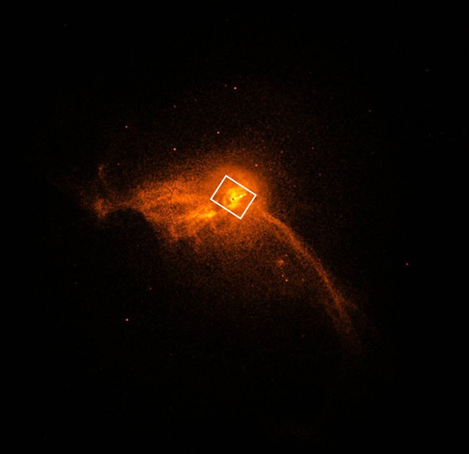 Gặp gỡ cô gái vàng của làng thiên văn - người đã chụp được bức ảnh hố đen vũ trụ đầu tiên trong lịch sử - Ảnh 3.