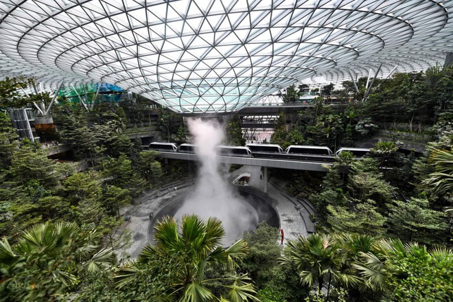 24h qua ảnh: Khu vườn xanh mướt trong sân bay ở Singapore - Ảnh 2.