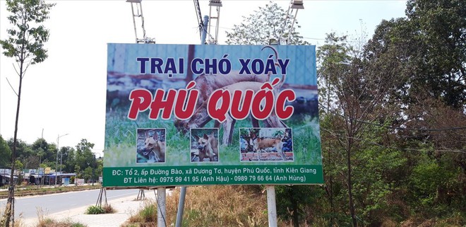 Một ngày kỳ thú ở trại bảo tồn thần khuyển nước Nam - Ảnh 2.