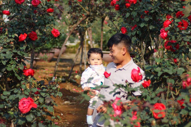 Bỏ ngân hàng đi trồng hoa, chàng trai gây dựng vườn hồng bạc tỷ “đẹp vạn người mê” - Ảnh 5.