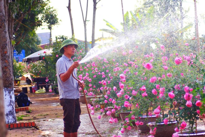 Bỏ ngân hàng đi trồng hoa, chàng trai gây dựng vườn hồng bạc tỷ “đẹp vạn người mê” - Ảnh 8.