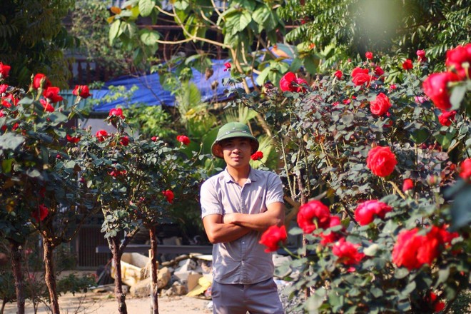 Bỏ ngân hàng đi trồng hoa, chàng trai gây dựng vườn hồng bạc tỷ “đẹp vạn người mê” - Ảnh 1.