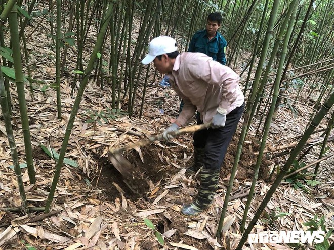 Kỳ thú chuyện săn lùng loài chuột khổng lồ trong rừng tây Yên Tử - Ảnh 1.