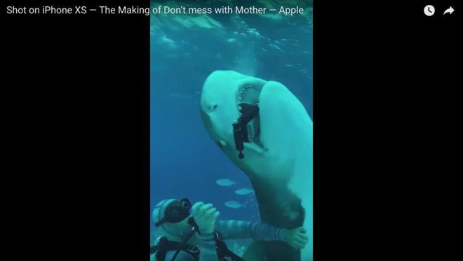 Bị cá mập xơi tái khi đang quay phim dưới nước, iPhone XS vẫn sống sót thần kỳ - Ảnh 4.
