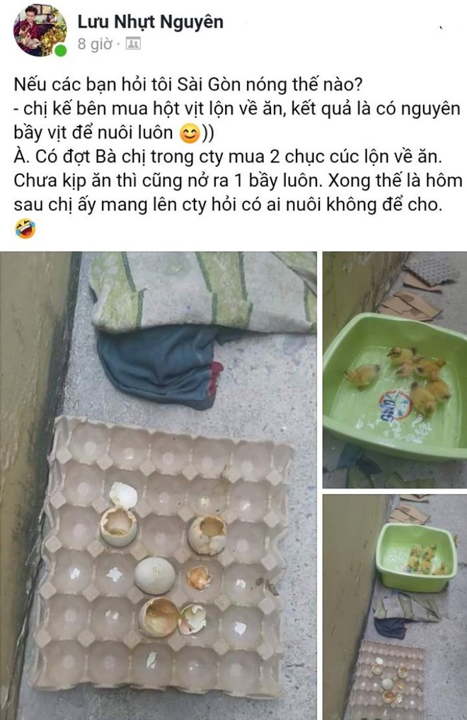 Nối tiếp tấn bi kịch của nắng nóng Sài Gòn: Đến trứng cũng không thể nằm yên.... - Ảnh 1.