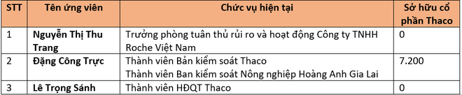 Thaco sẽ chi hơn 7.200 tỷ cho nông nghiệp năm 2019, mở bán HAGL Myanmar giai đoạn 2 - Ảnh 3.