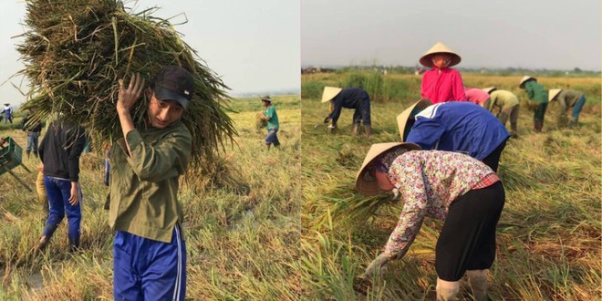 Lời than của nam sinh trên mạng và quyết định của thầy giáo dưới cái nắng bỏng rát, 40 độ - Ảnh 1.