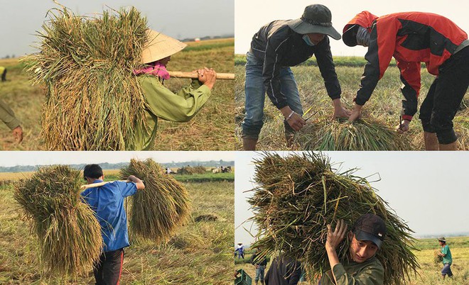 Lời than của nam sinh trên mạng và quyết định của thầy giáo dưới cái nắng bỏng rát, 40 độ - Ảnh 5.