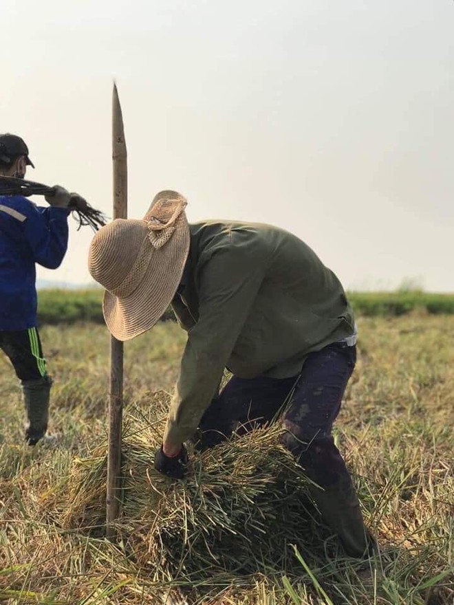 Lời than của nam sinh trên mạng và quyết định của thầy giáo dưới cái nắng bỏng rát, 40 độ - Ảnh 7.