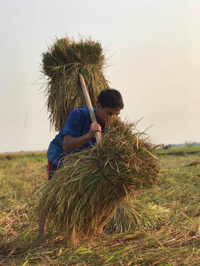 Lời than của nam sinh trên mạng và quyết định của thầy giáo dưới cái nắng bỏng rát, 40 độ - Ảnh 4.