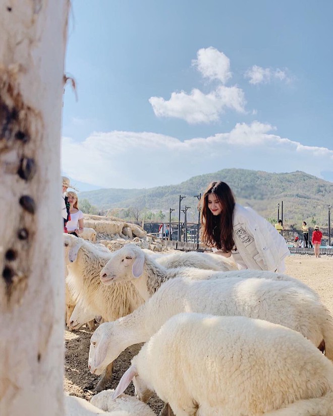 Chủ nhà treo “biển” vì quá mệt mỏi trước “cú lừa” của chị Google khi biến nhà dân thành Hồ Đá Xanh, Vũng Tàu - Ảnh 9.