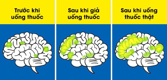 8 câu hỏi vẫn khiến các nhà khoa học bối rối: Sự sống trên Trái Đất bắt đầu từ đâu? - Ảnh 2.