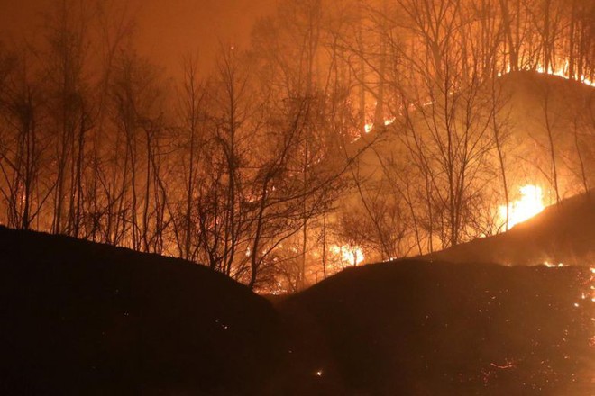 Ảnh, video: Đám cháy rừng lan rộng khiến Hàn Quốc ban bố tình trạng khẩn cấp quốc gia  - Ảnh 11.