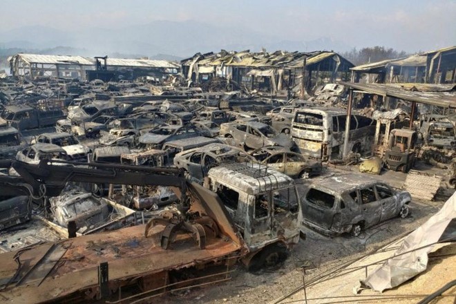 Ảnh, video: Đám cháy rừng lan rộng khiến Hàn Quốc ban bố tình trạng khẩn cấp quốc gia  - Ảnh 12.