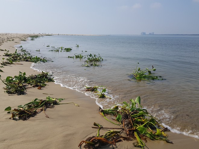 Cận cảnh hòn đảo lạ mới xuất hiện ngoài biển khiến chính quyền Quảng Nam lúng túng - Ảnh 6.