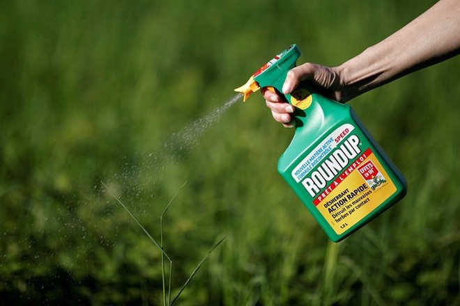 Sẽ cấm thuốc diệt cỏ có hoạt chất glyphosate gây ung thư - Ảnh 3.