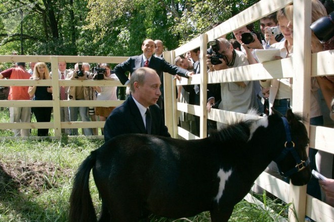 Tiết lộ những món quà bất ngờ mà Tổng thống Nga Putin nhận được - Ảnh 8.
