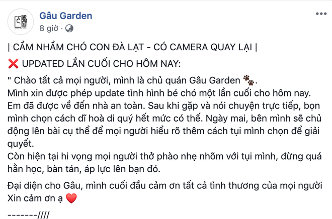 Đôi bạn trẻ vào uống cà phê ở Đà Lạt rồi bế nhầm luôn chú chó Corgi 25 ngày tuổi của chủ quán - Ảnh 4.