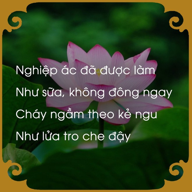 Hại người để mong đổi đời, chàng trai chưa kịp hưởng thụ đã lập tức phải chịu báo ứng - Ảnh 2.