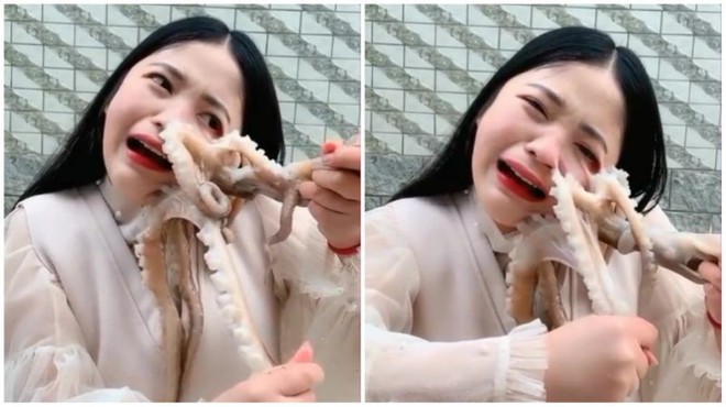 Hot girl livestream cảnh ăn bạch tuộc sống, bị con vật tấn công đến chảy máu nhưng dân mạng lại còn mắng cho vì lý do này - Ảnh 3.