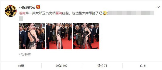 Phản ứng bất ngờ của dân mạng xứ Trung trước trang phục kiệm vải của Ngọc Trinh tại Cannes - Ảnh 4.