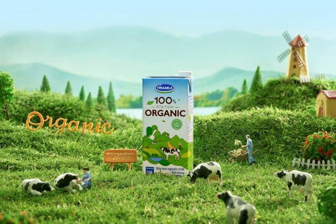 Cận cảnh trang trại bò sữa Organic chuẩn châu Âu trên cao nguyên Đà Lạt - Ảnh 8.