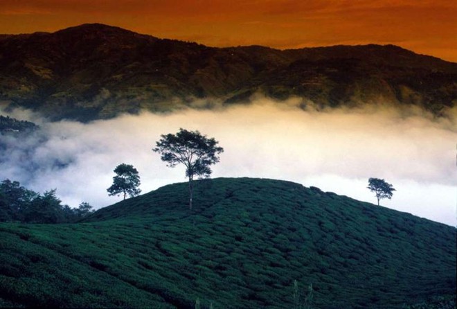 Vẻ đẹp ít người biết tới ở vùng đất kỳ lạ nhất thế giới Himalaya - Ảnh 8.