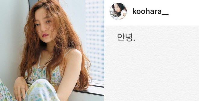 Sốc: Nữ idol đình đám Goo Hara cố tự tử tại nhà riêng, để lại lời nhắn Tạm biệt fan trên Instagram - Ảnh 1.