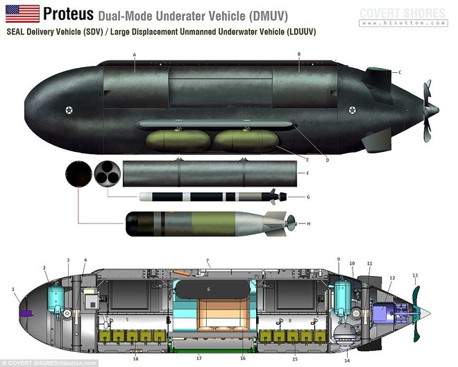 Tàu ngầm đặc nhiệm hạt nhân không người lái Nga: Với Mỹ chỉ là ngựa thồ? - Ảnh 2.