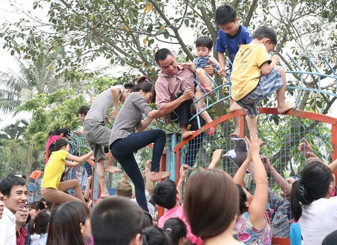 Khi người ta phũ phàng đáp lại lời tạm biệt của Auchan như cách mót hoa và hôi bia trên đường phố: Bao giờ mới hết? - Ảnh 4.