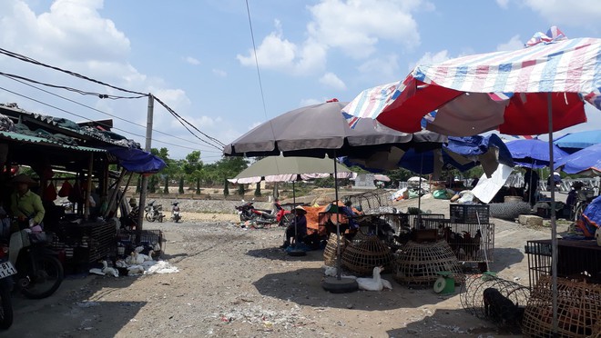 Tiểu thương khu chợ ở Điện Biên: Mẹ nữ sinh đi bán gà cho vui, trông không giống buôn bán - Ảnh 1.