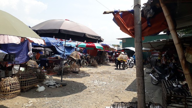 Tiểu thương khu chợ ở Điện Biên: Mẹ nữ sinh đi bán gà cho vui, trông không giống buôn bán - Ảnh 2.