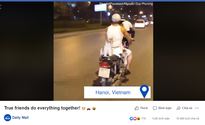 Clip: Anh trai chở 4 boss mèo đi xe máy ở Hà Nội khiến dân mạng quốc tế vừa thích thú vừa tranh cãi rần rần - Ảnh 1.
