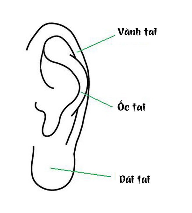 Phụ nữ sở hữu tướng tai trời phú này, đàn ông nên lấy làm vợ! - Ảnh 8.