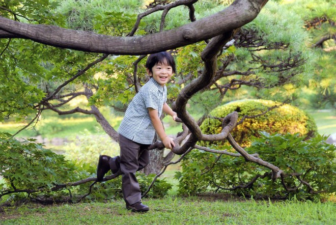 Hoàng tử bé Hisahito: Người thừa kế cuối cùng của Hoàng gia Nhật, được nuôi dạy một cách “khác người” nhưng dân chúng lại đồng tình ủng hộ - Ảnh 15.