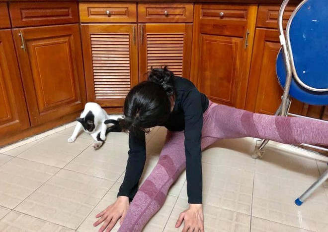 Cô gái đang tập Yoga thì phát hiện loạt phản ứng không ngờ từ chú mèo ngồi bên cạnh - Ảnh 2.