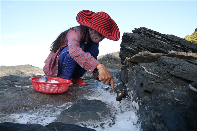 Hạt muối tinh ở ngọn núi hơn 400 năm tuổi - Ảnh 1.