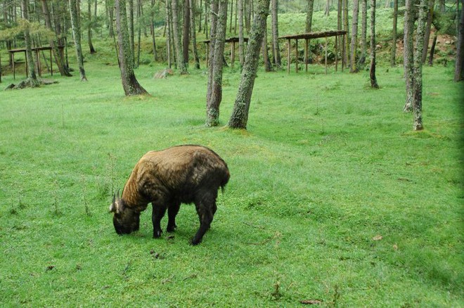 10 điều có thể bạn chưa biết về Bhutan - Vương quốc hạnh phúc mà ai cũng nên ghé thăm ít nhất một lần trong đời - Ảnh 13.