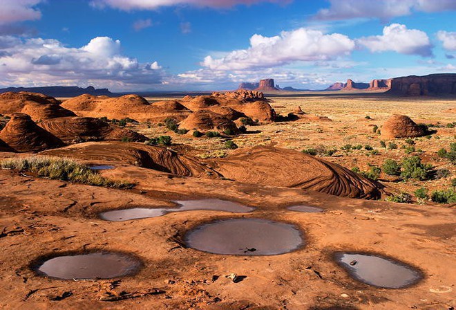 Loài tôm lạ sống trong sa mạc: Cổ nhất hành tinh, 50 năm không có nước mà trứng vẫn nở tốt - Ảnh 5.