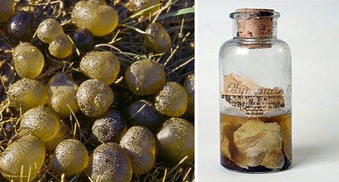 Những sự kiện bí ẩn không lời giải đáp khiến các nhà khoa học đau đầu - Ảnh 11. Những sự kiện bí ẩn không lời giải đáp khiến các nhà khoa học đau đầu - Ảnh 11.