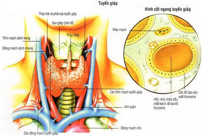 Đứng trước gương với 1 cốc nước: Cách tự kiểm tra mình có nguy cơ ung thư không  - Ảnh 2.