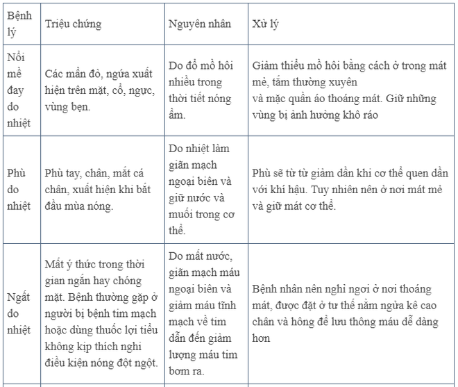 Nắng nóng gay gắt: Cảnh báo nguy cơ gia tăng ung thư, nhất là 2 bệnh ung thư sau - Ảnh 5.